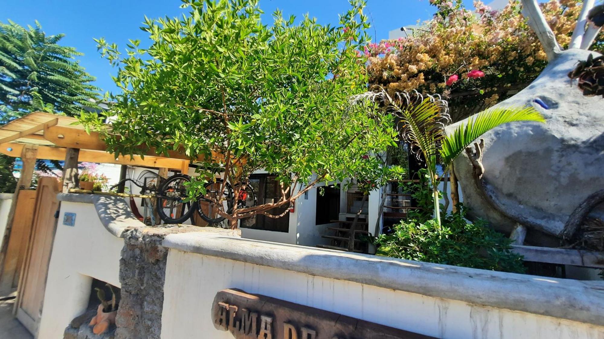 Appartamento Alma De Cedrela Puerto Ayora  Esterno foto