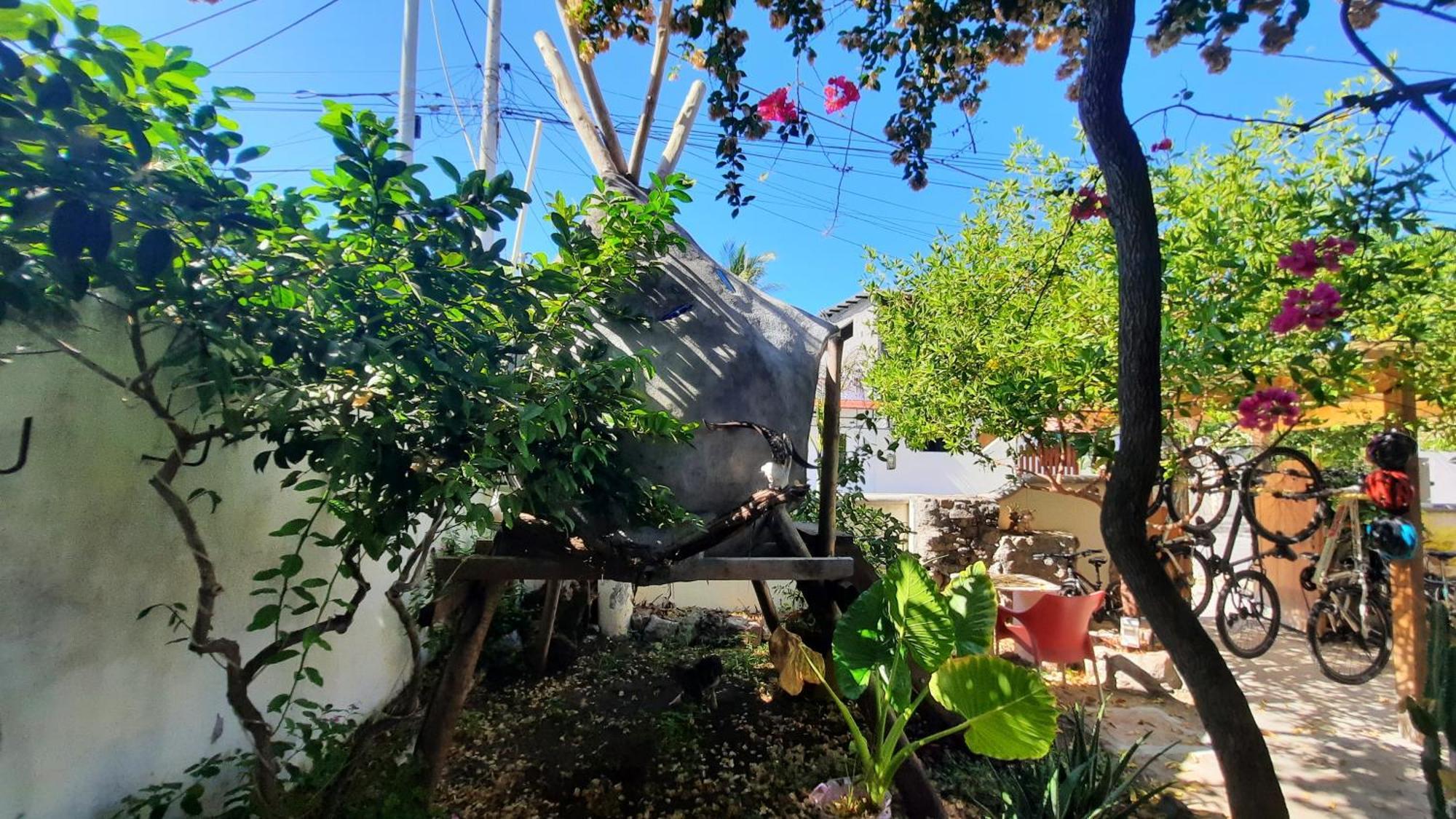 Appartamento Alma De Cedrela Puerto Ayora  Esterno foto