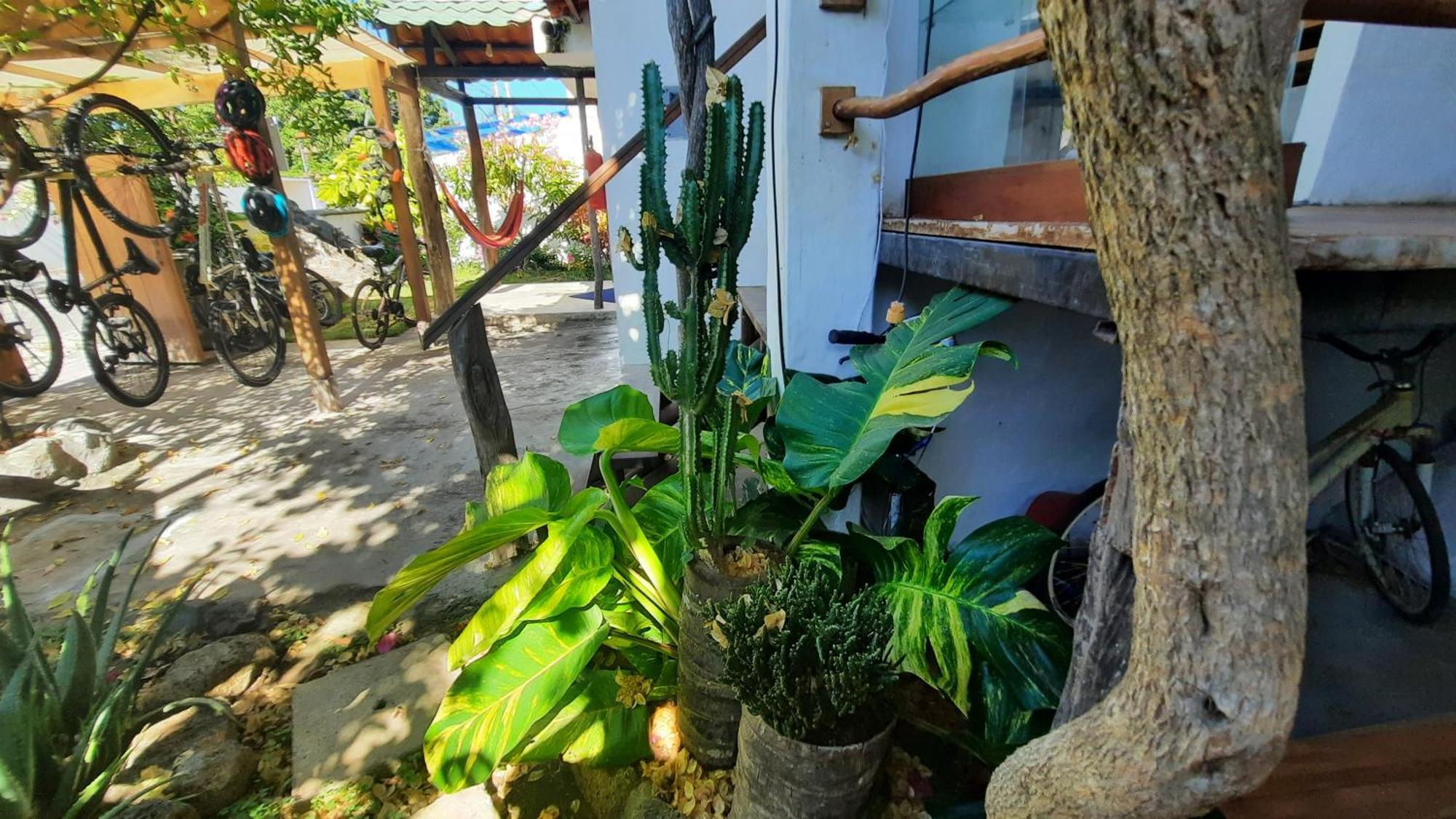 Appartamento Alma De Cedrela Puerto Ayora  Esterno foto