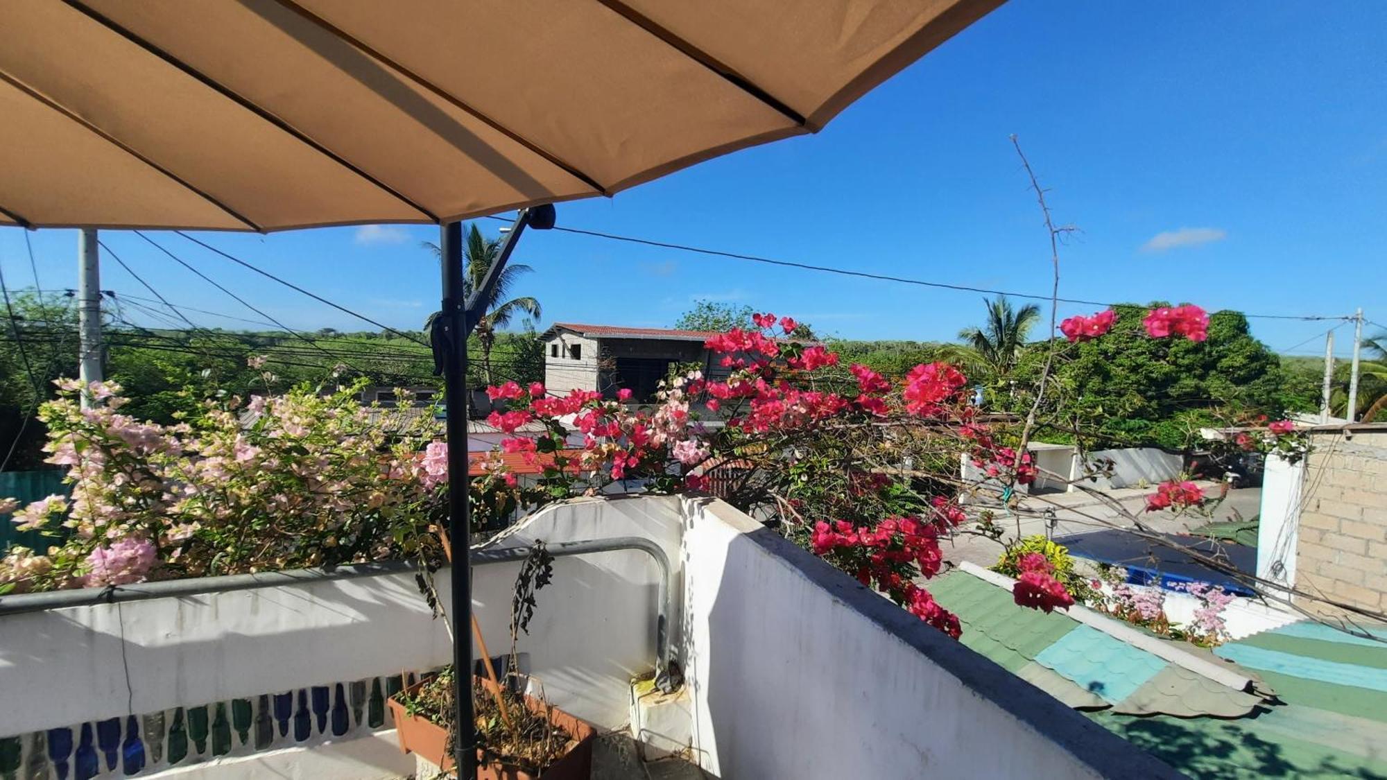 Appartamento Alma De Cedrela Puerto Ayora  Esterno foto